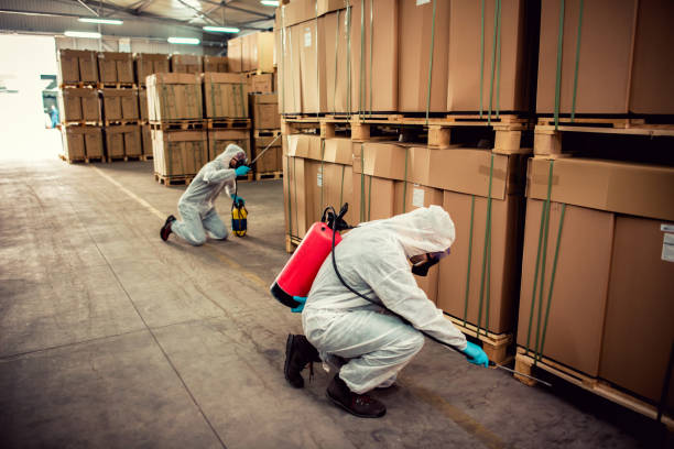 Best Emergency Pest Control  in Milton, LA