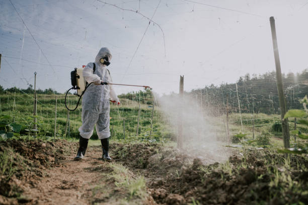 Pest Control Cost in Milton, LA