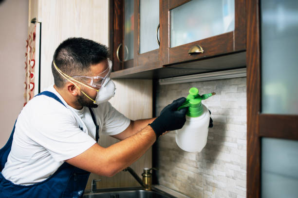 Best Wasp Removal Services  in Milton, LA