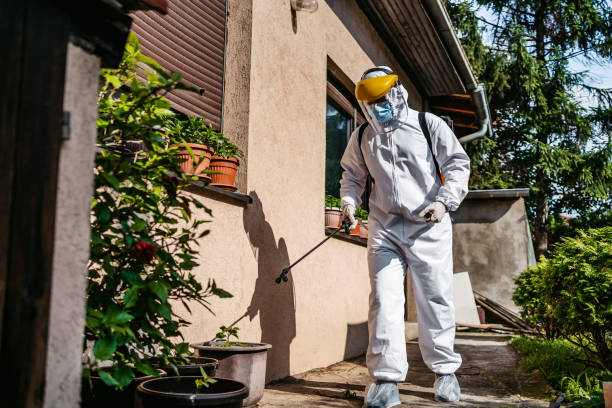 Best Rat Extermination Near Me  in Milton, LA