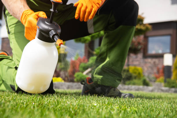 Best Termite Control Services  in Milton, LA
