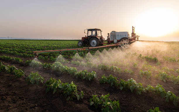 Best Insect Control  in Milton, LA