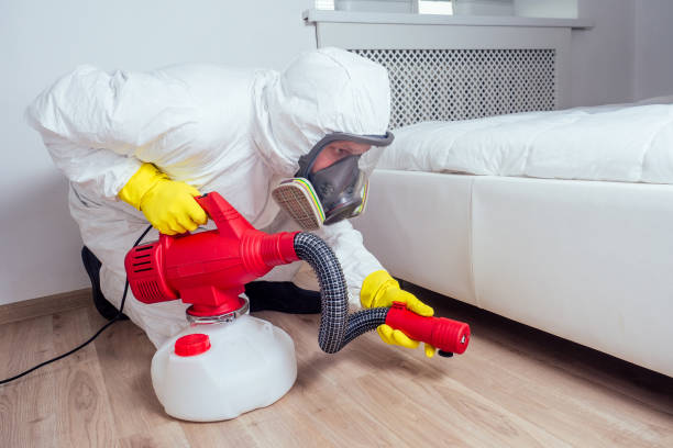 Wasp Removal Services in Milton, LA