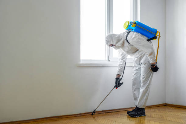 Best Pest Control for Restaurants  in Milton, LA