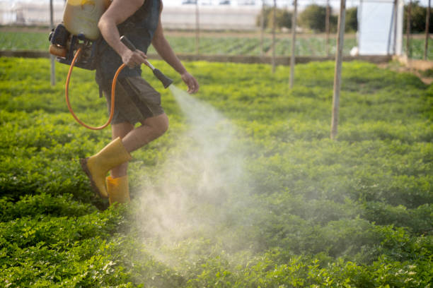 Best Best Pest Control Companies  in Milton, LA