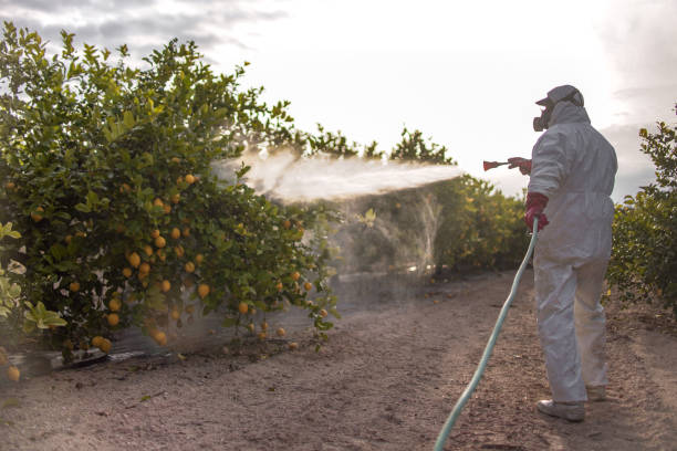 Best Commercial Pest Control Services  in Milton, LA