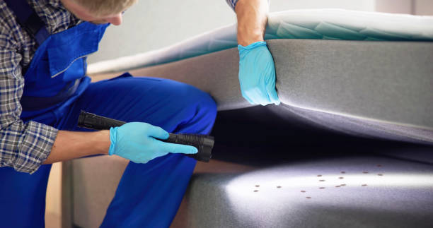 Flea Control Services in Milton, LA