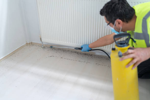 Best Emergency Pest Control  in Milton, LA