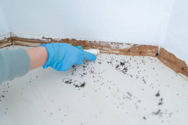 Reliable Milton, LA Pest Control Solutions