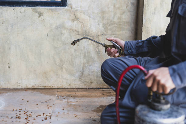 Best Best Pest Control Companies  in Milton, LA