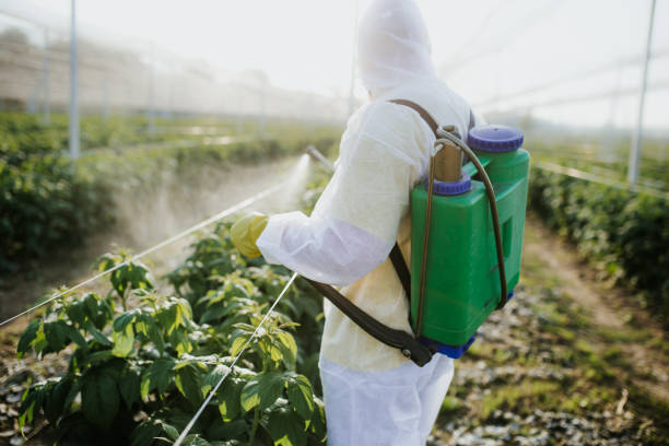 Best Pest Control Near Me in Milton, LA